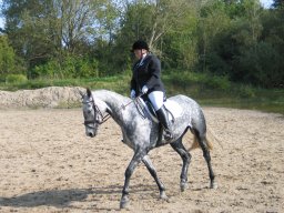 2011 Sommerturnering